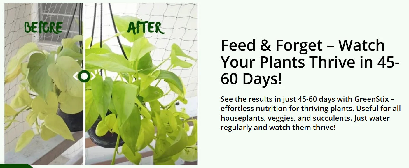 Plant Grow Fertilizer Sticks for Plants and plant growth