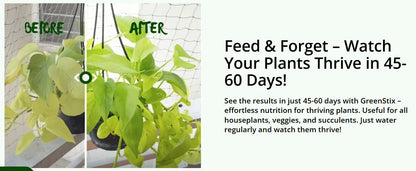 Plant Grow Fertilizer Sticks for Plants and plant growth